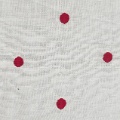 HT0039 var.2